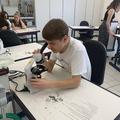 Mikroskopieren3